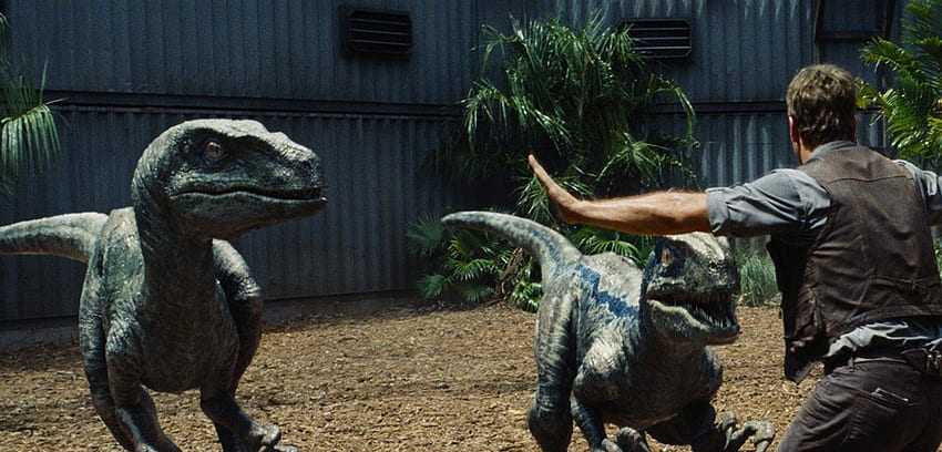 Jurassic World Id Terbaik - Raptors Dinosaur Jurassic World -, Jurassic Park Velociraptor Wallpaper HD