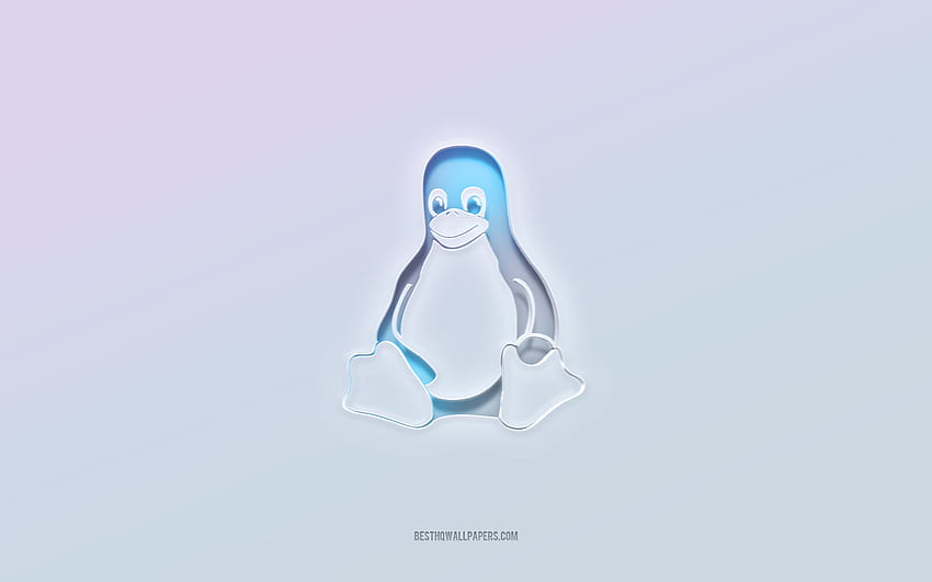 Logotipo do Linux, texto 3d recortado, fundo branco, logotipo do Linux 3d, emblema do Linux, Linux, logotipo em relevo, emblema do Linux 3d papel de parede HD