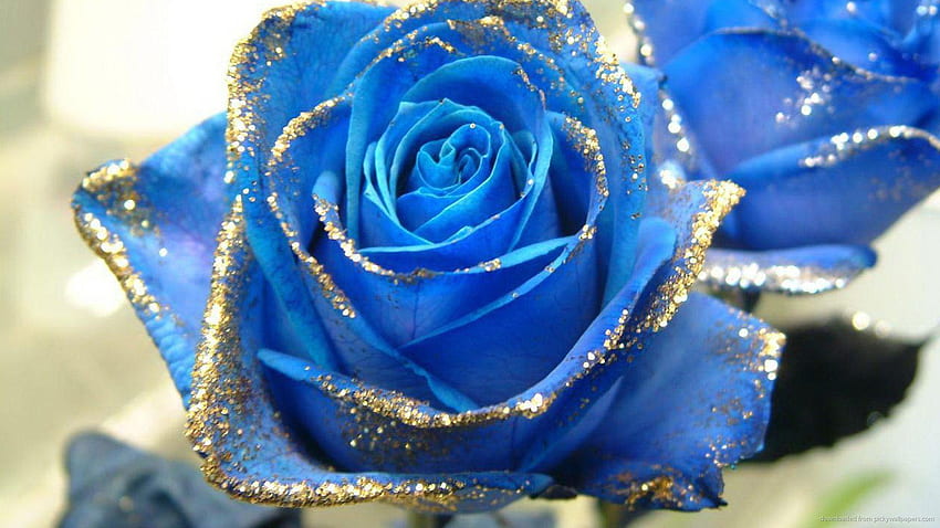 Blue Rose Glitter . glitter graphics the community for graphics enthusiasts, glitter flower cave, sparkle glitter background pink pretty girly iphone android , blue 128286432 blingee, glitter HD wallpaper