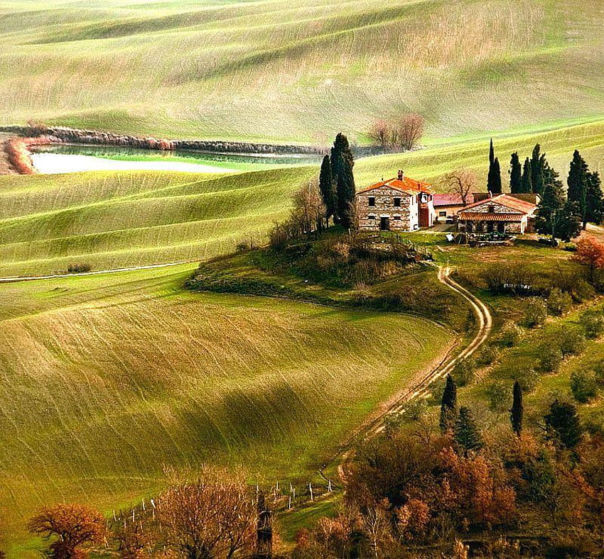 Toscane, peinture, champs, italie, nature Fond d'écran HD