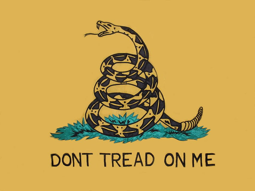 Grunge Dont Tread On Me The Gadsden Flag is for your 907, Don't Tread On Me HD wallpaper