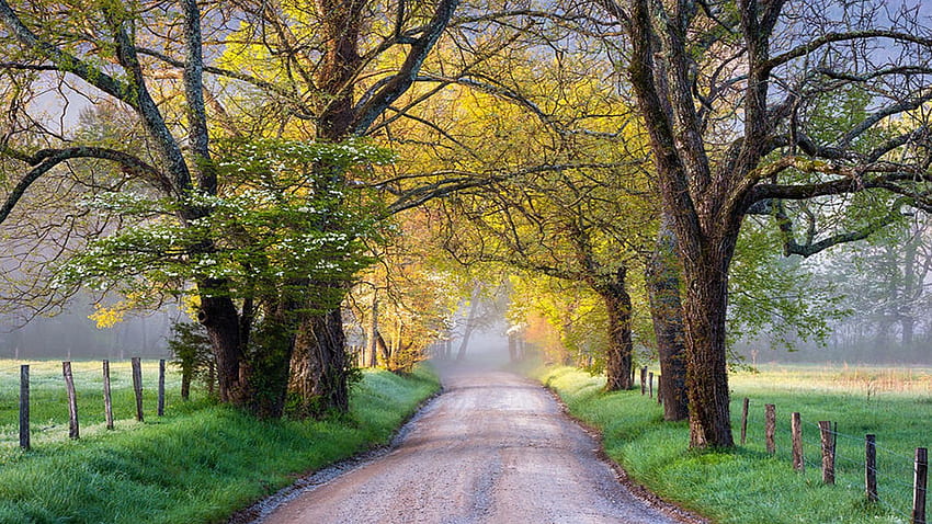 Cades Cove, Great Smoky Mountains National Park - Sparks Lane, fence, trees, fields, road, usa HD wallpaper