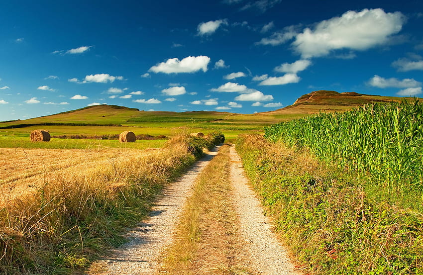 Filename: pathway for computer Resolution: File size: 3354 kB Uploaded:. Summer landscape, Country background, Scenery, Farm Field Nature HD wallpaper