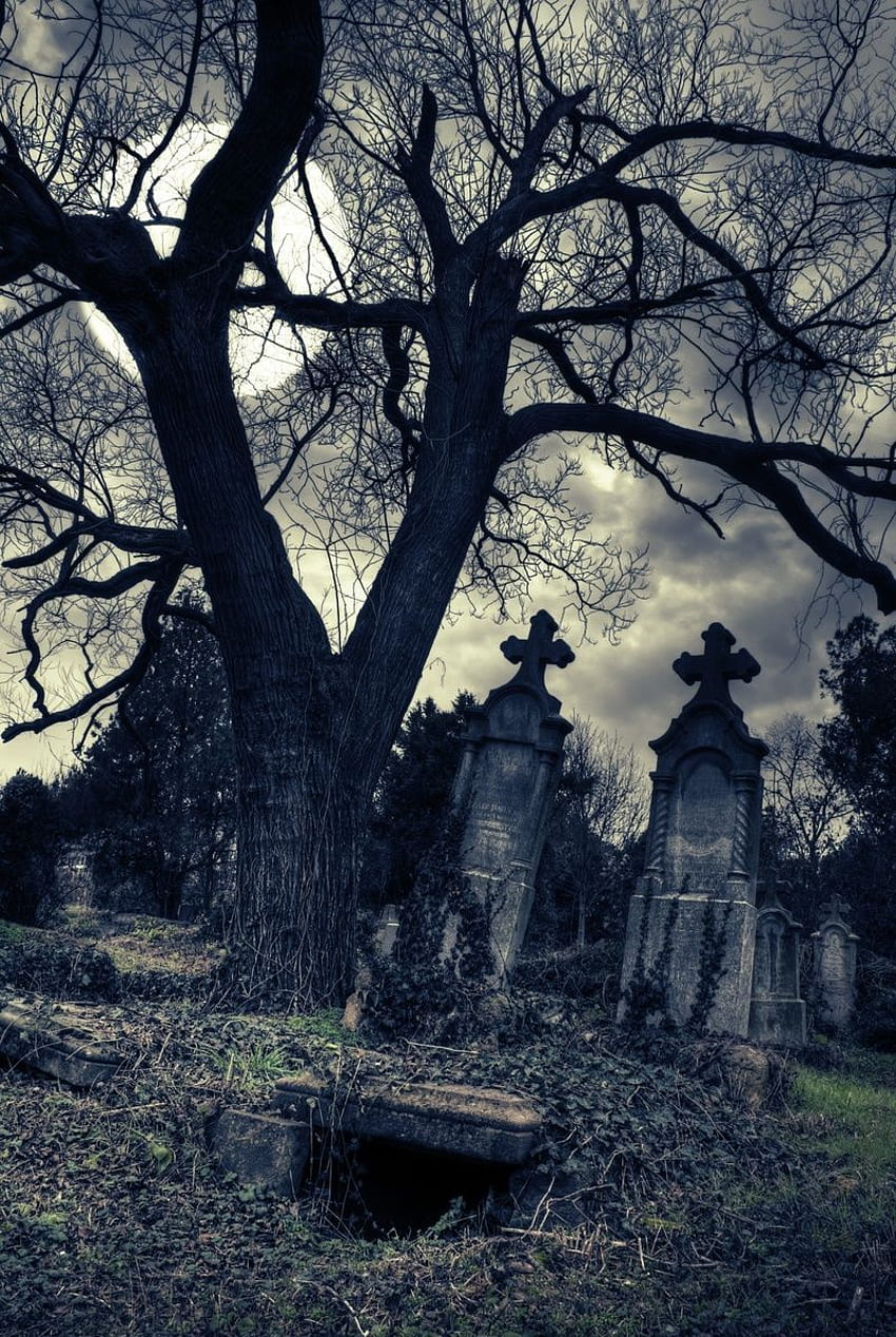 Gothic Cemetery. Old cemeteries, Graveyard, Cemetery HD phone wallpaper