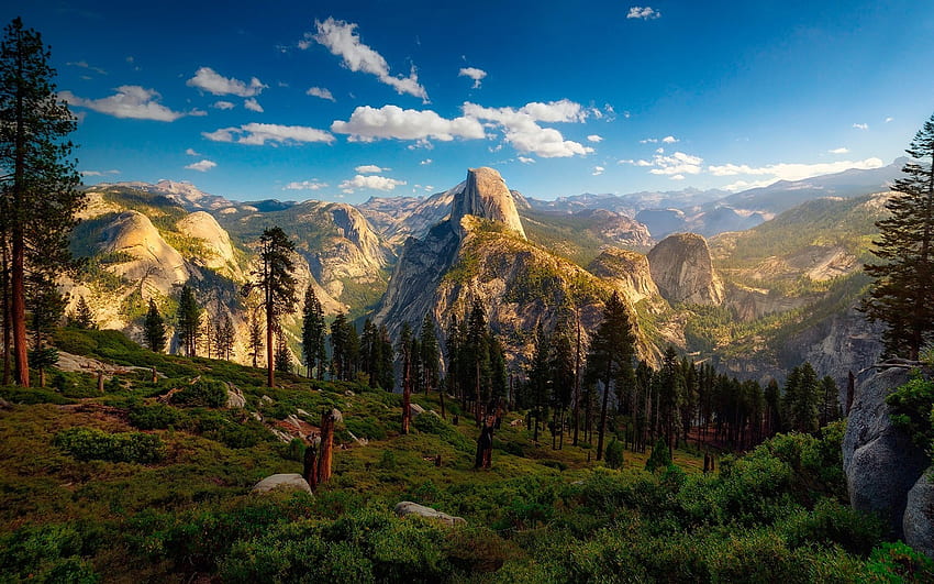 Yosemite Ulusal Parkı, dağ yamaçları, orman, dağlar, uçurumlar, Kaliforniya, Amerika, ABD, güzel bir doğa, R, yaz HD duvar kağıdı