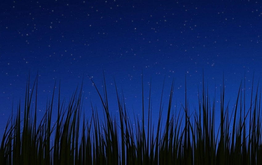 Android 3.0 night . Android 3.0 night stock, Nacht HD wallpaper