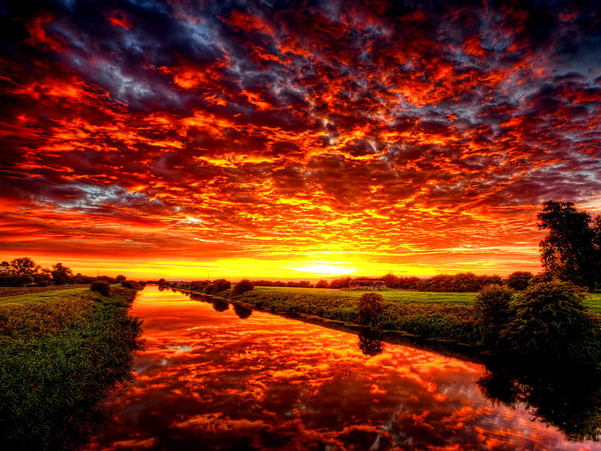 Sunrise, beautiful, tree, summer, reflection, red, clouds, nature, sky, sunset HD wallpaper