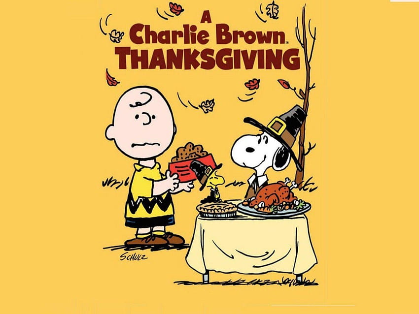 Peanuts Thanksgiving, Charlie Brown Thanksgiving HD wallpaper