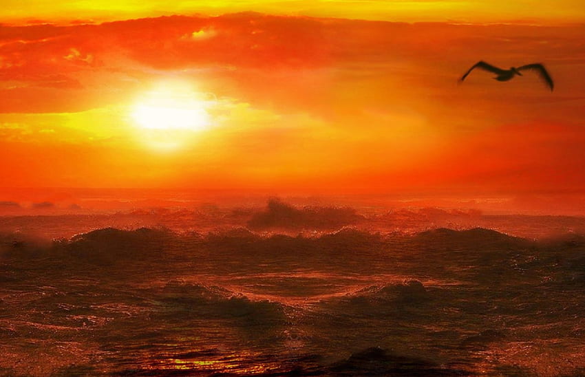 Wind at sea, Yellow, Sun, Orange, Sea HD wallpaper