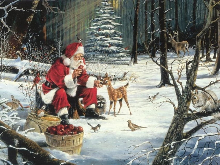 Presentes para todos❤️❤️❤️, pássaros, fofos, presentes, pequenos, Papai Noel, Natal, animais, neve, árvores, floresta papel de parede HD
