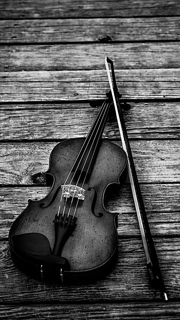 45,000 Black Violin Images, Stock Photos & Vectors | Shutterstock