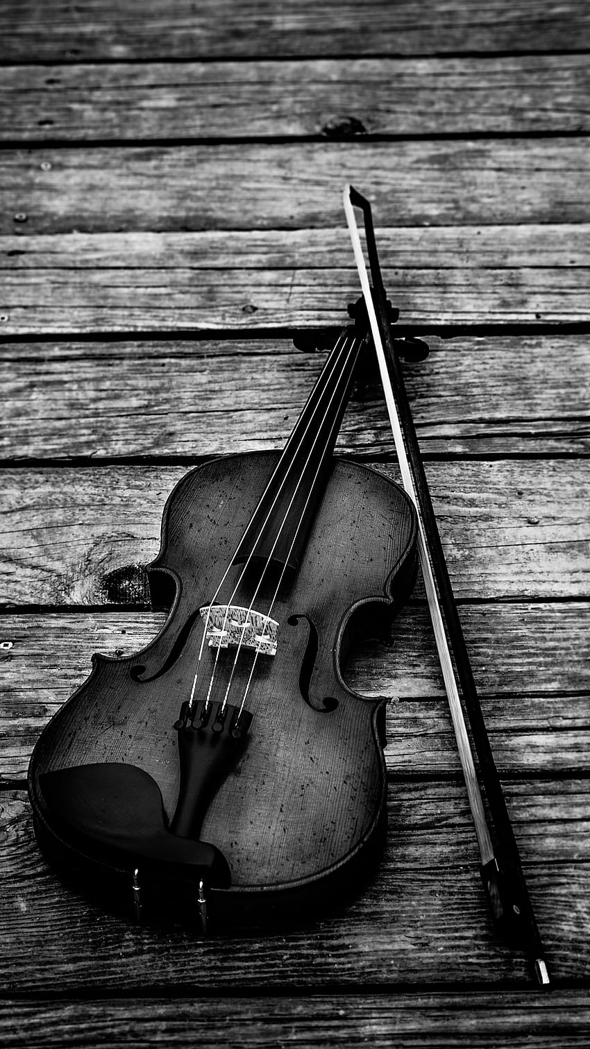 Цигулка iPhone, Красива цигулка HD тапет за телефон