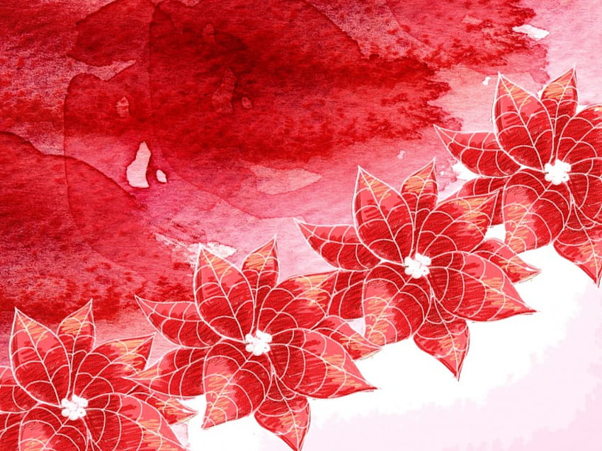 Christmas Red, flowers, christmas HD wallpaper