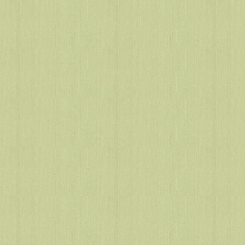 Dragged Papers by Farrow & Ball - Light Olive Green - : Direct, Light Green Plain HD phone wallpaper