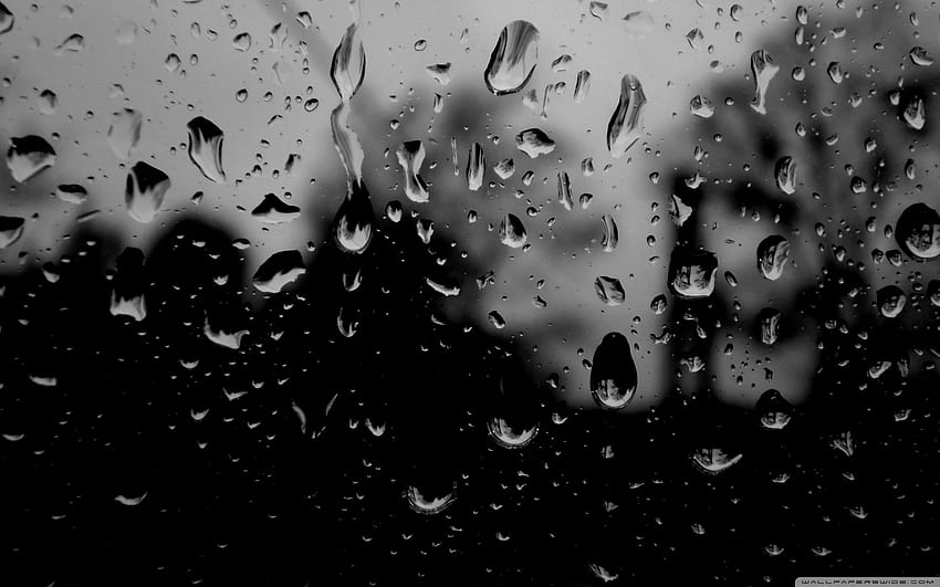 Dark Rainy Day ความละเอียดสูงแบบเต็มหน้าจอ, แล็ปท็อป Rain วอลล์เปเปอร์ HD