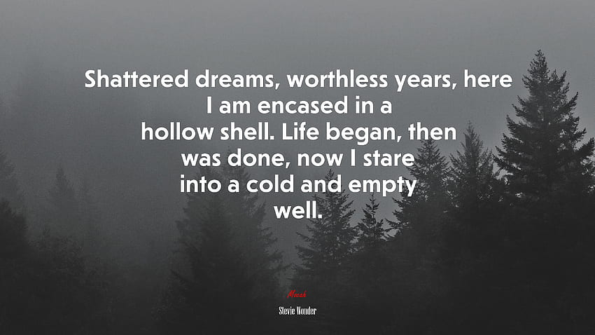 Shattered dreams, worthless years, here I am encased in a hollow shell. Life began, then was done, now I stare into a cold and empty well. Stevie Wonder quote HD wallpaper