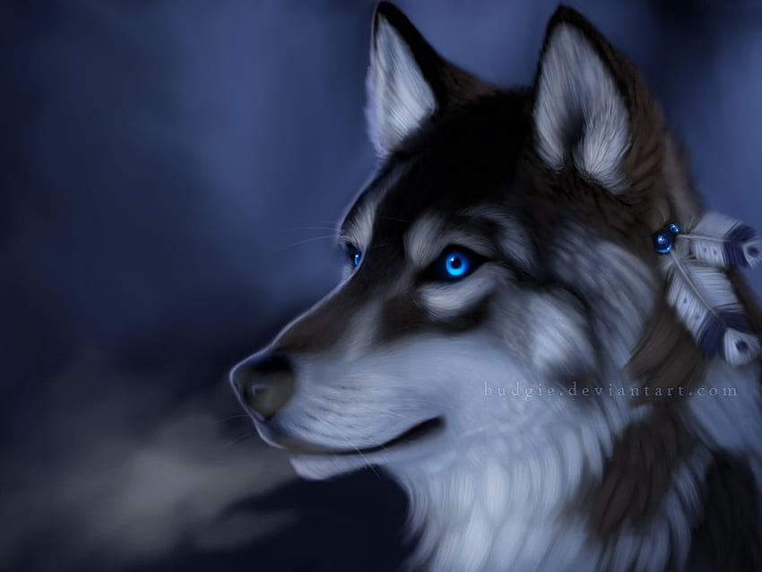 울프 블루 아이즈 [] • R . 파란 눈을 가진 늑대, 늑대의 종류, 무서운 늑대 HD 월페이퍼