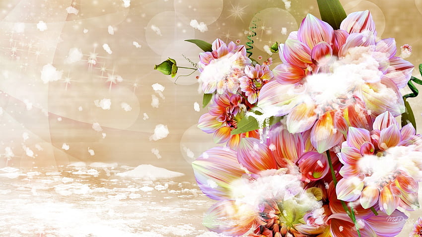 หิมะตก ดอกไม้ ฤดูใบไม้ร่วง เย็น สีชมพู ฤดูใบไม้ร่วง Fleurs หิมะ ดอกรักเร่ ฤดูหนาว แท่งน้ำแข็ง ดอกไม้น้ำแข็ง วอลล์เปเปอร์ HD