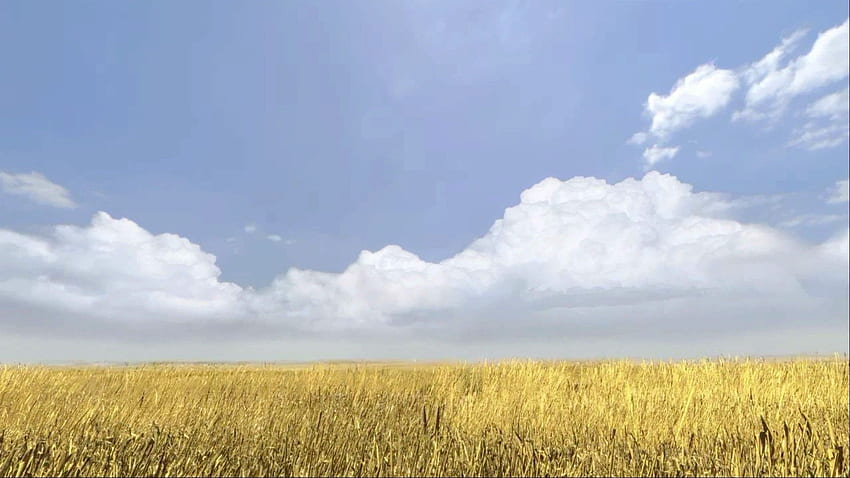 Portal 2 ladang jagung. PC Wallpaper HD