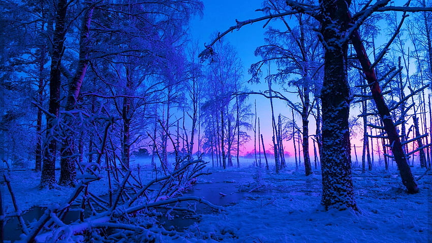 Schweden, schwedische Wälder, schwedische Landschaft, Europa HD-Hintergrundbild