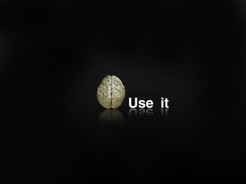 use it , use it, brain HD wallpaper