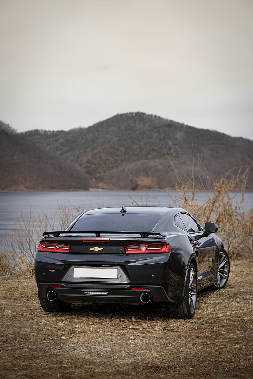 black chevrolet camaro on a sunny day – , Camaro Exorcist HD phone wallpaper