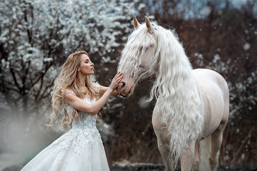 A Gorgeous Pair, model, horse, cowgirl, blonde HD wallpaper