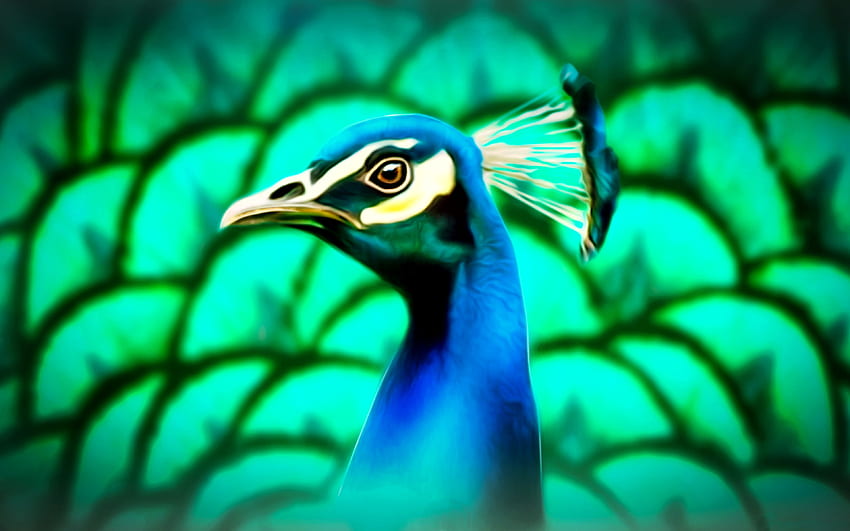 Pintura de pavo real, animal, arte, aviar, fauna, hermosa, ilustración, obra de arte, ancha, naturaleza, pavo real, pájaro, pintura, pavo real fondo de pantalla