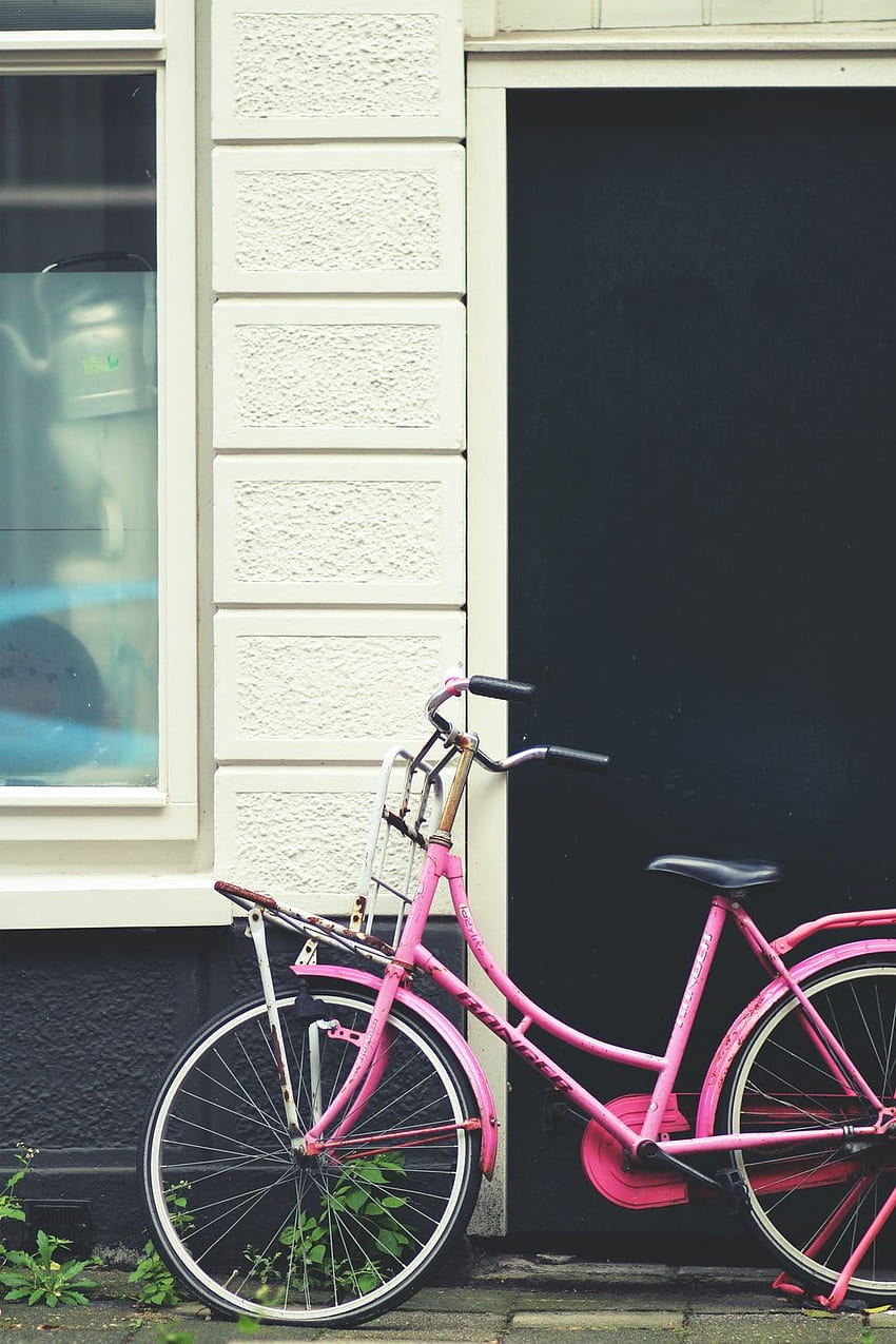 Old Bicycle, Pink Bike HD phone wallpaper