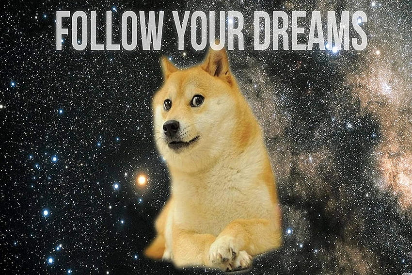 Podążaj za marzeniami Doge Meme Print Poster: Plakaty i druki, Doggo Meme Tapeta HD