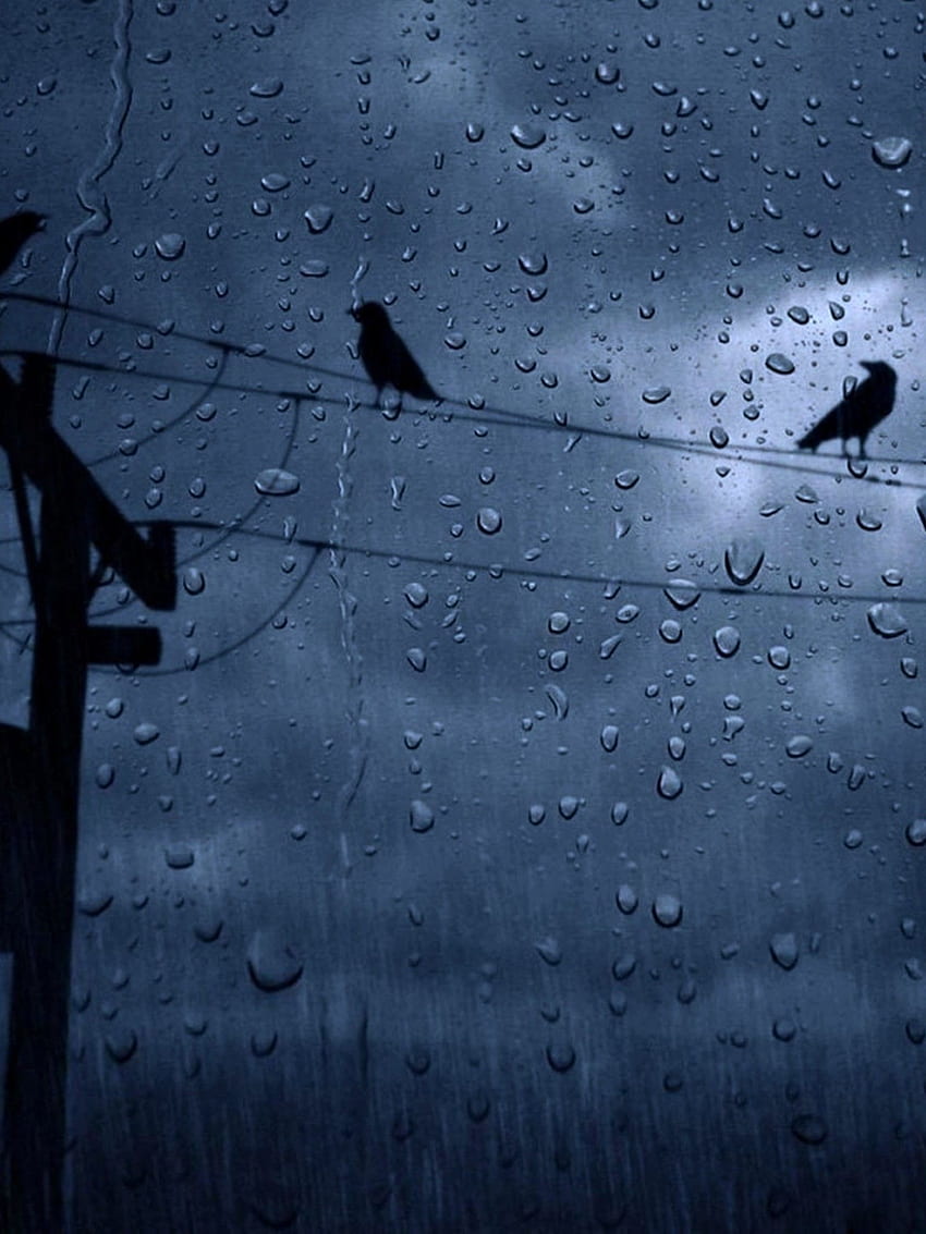 Of Rain, Rainy Weather HD phone wallpaper