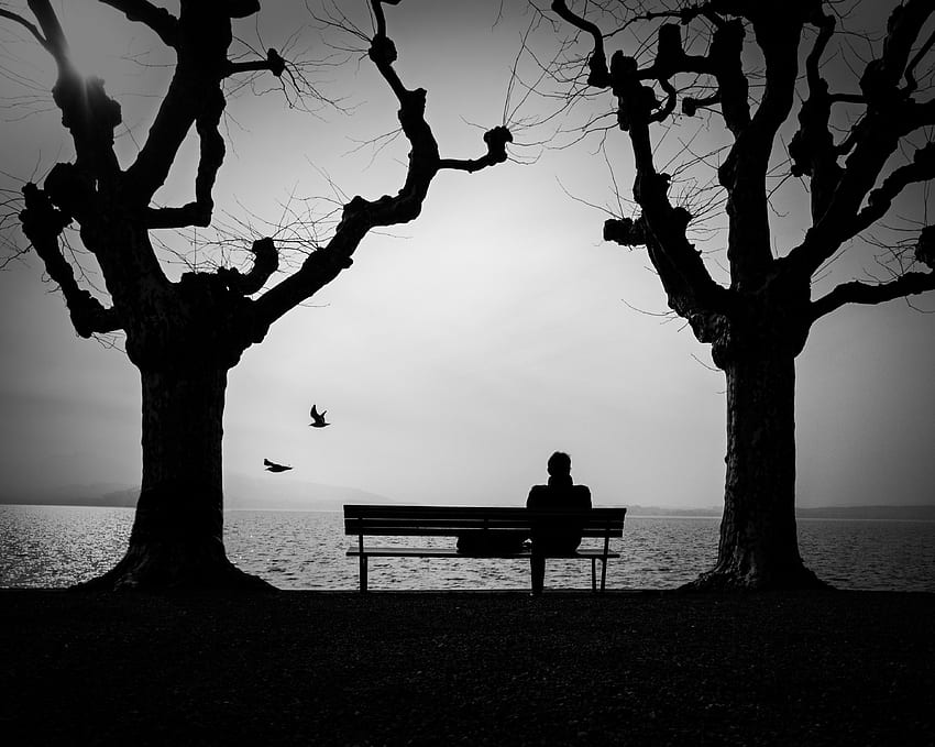 Alone, Silhouette, , , Loneliness, Bench, Lonely HD wallpaper