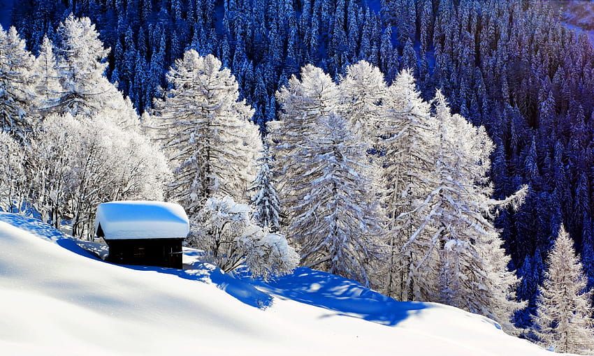 Cabaña nevada en la ladera de la montaña, invierno, escarcha, pendiente, casa, frío, hermoso, montaña, nieve, árboles, vista, cabaña, encantador fondo de pantalla