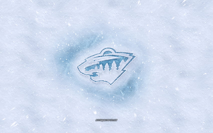 Minnesota Wild logo, American hockey club, winter concepts, NHL ...