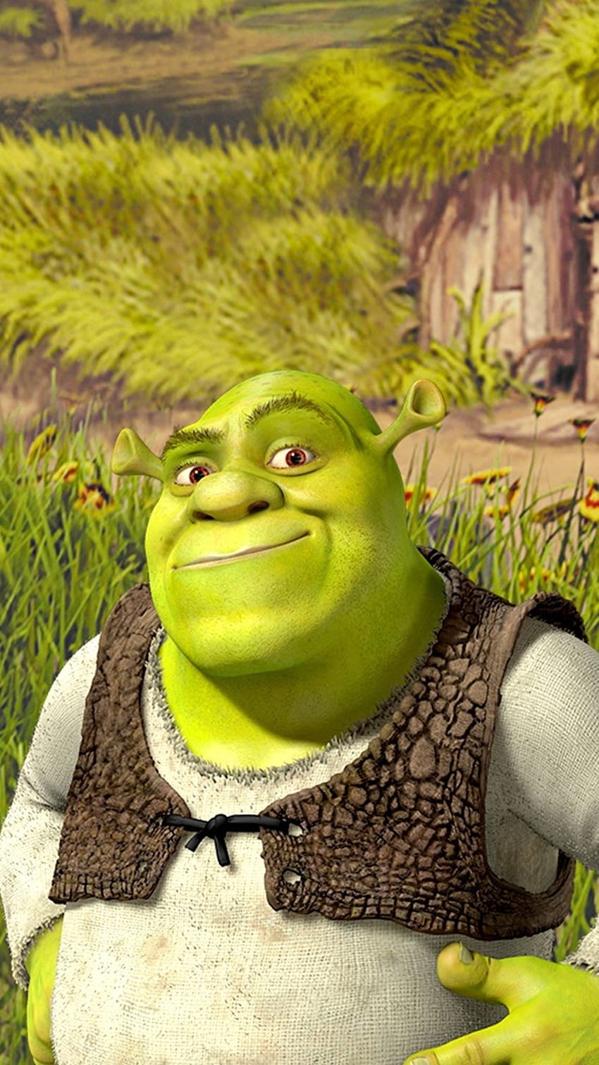 Shrek, meme, HD phone wallpaper