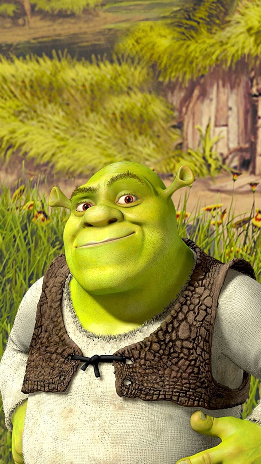 Shrek Phone Wallpapers  Top Free Shrek Phone Backgrounds  WallpaperAccess