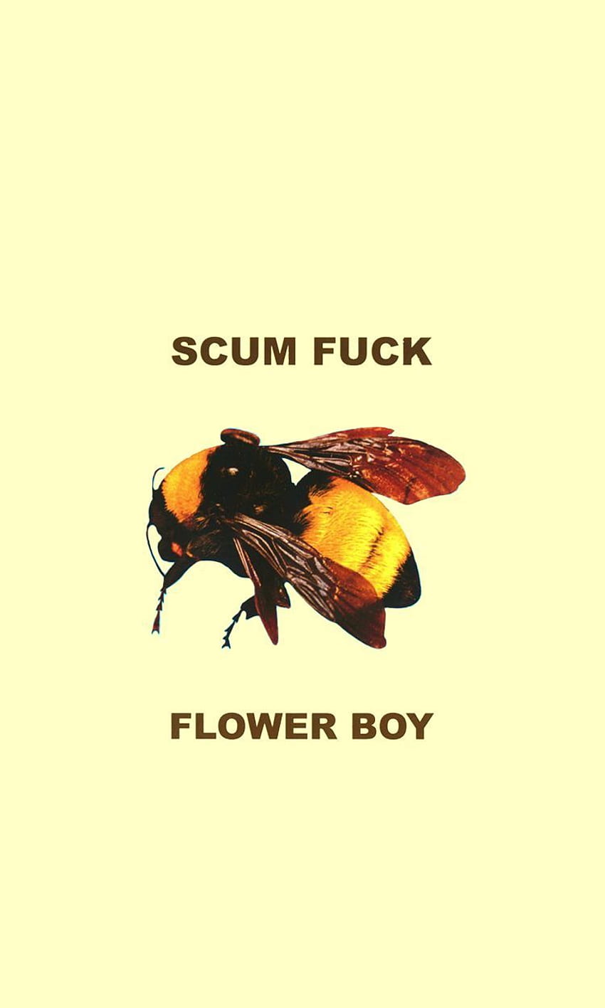 Scum Fuck Flower Boy - -, Tyler The Creator Flower Boy HD phone wallpaper