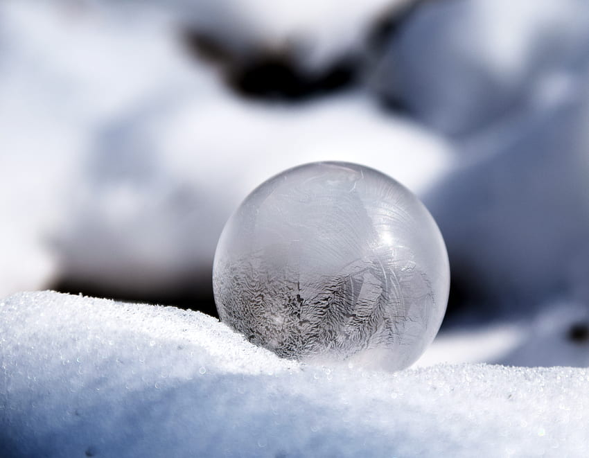 : water, snow, cold, winter, structure, sky, pattern, christmas, close up, background, sphere, beautiful, balls, soap bubble, wintry, zing, macro graphy, frozen bubble, computer , frosted soap bubble, frost blister, Frozen Bubbles HD wallpaper