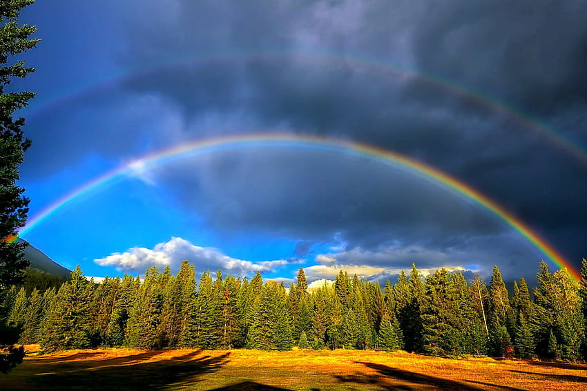 Double Rainbow Near Jasper National Park, rainbow, Canada, clouds, sky, beautiful, Alberta, grass, forest HD wallpaper