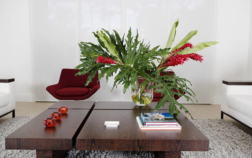 Pflanze, Diverses, Diverses, Tisch, Möbel, Gemütlichkeit, Komfort HD-Hintergrundbild