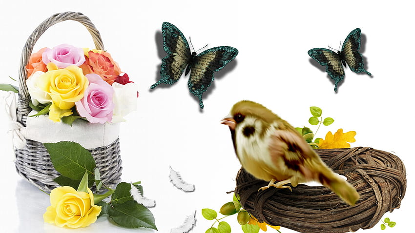 ตะกร้านกและผีเสื้อ ผีเสื้อ ตะกร้า ช่อดอกไม้ ขนนก ดอกกุหลาบ นก ดอกไม้ รัง วอลล์เปเปอร์ HD