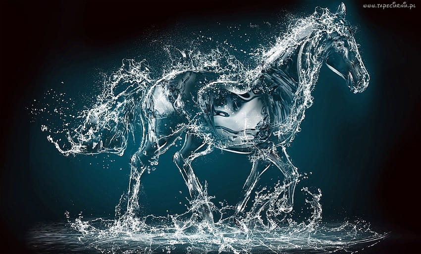 火氷と水馬のアイデア. 空想の馬、馬、神話上の生き物 高画質の壁紙