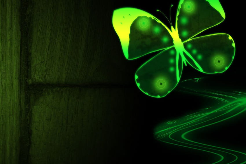 Neon Green Butterfly [] for your , Mobile & Tablet. Explore Green Butterfly . Gallery Green Butterfly HD wallpaper