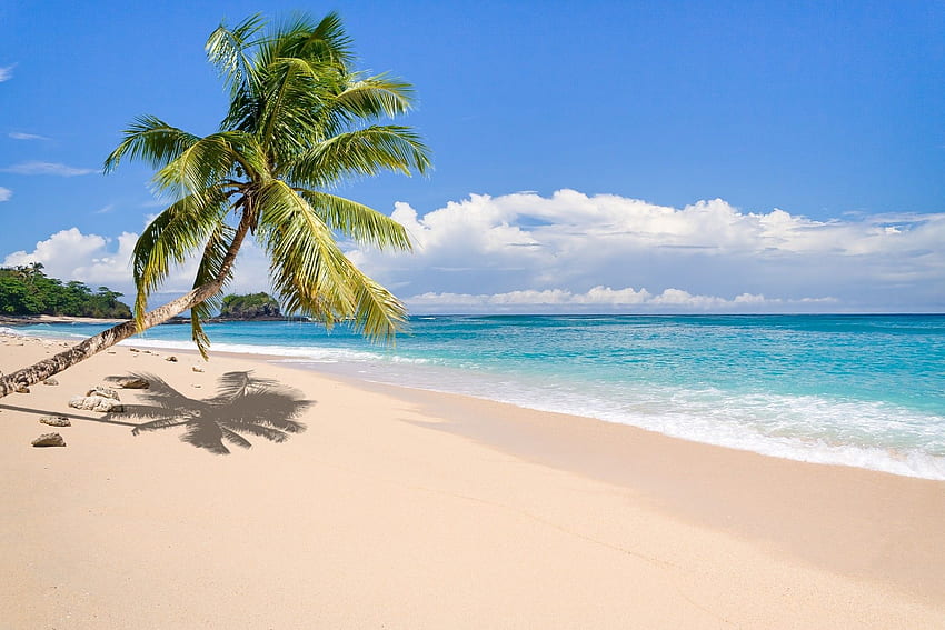nature landscape tropical island beach palm trees sea sand clouds, Madagascar Landscape HD wallpaper