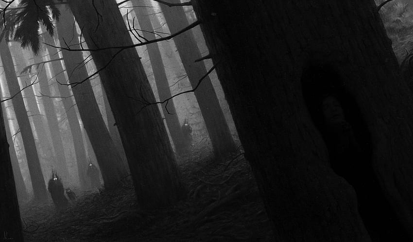Werewolves werewolf wolf wolves dark horror creature creatures creepy forest trees . HD wallpaper