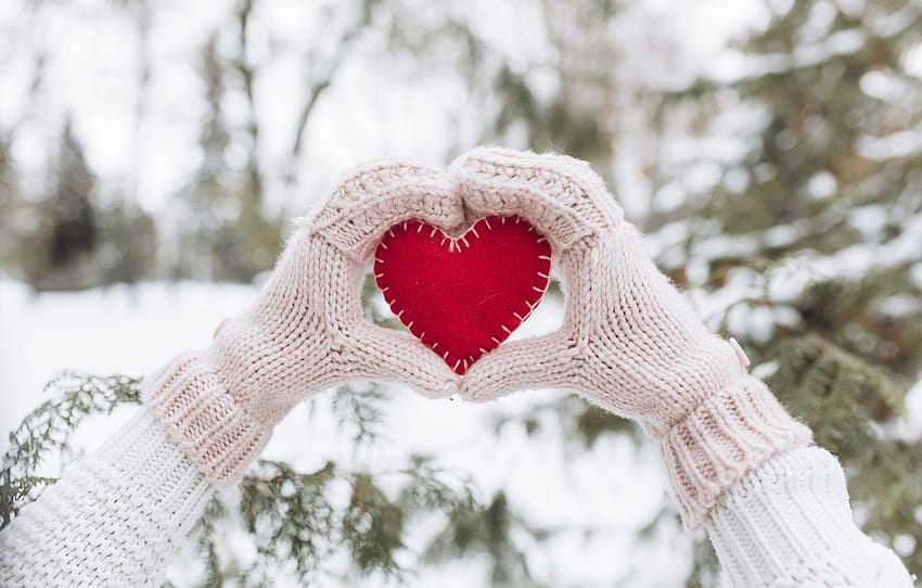 winter, snow, love, heart, tree, red, love, heart, winter HD wallpaper