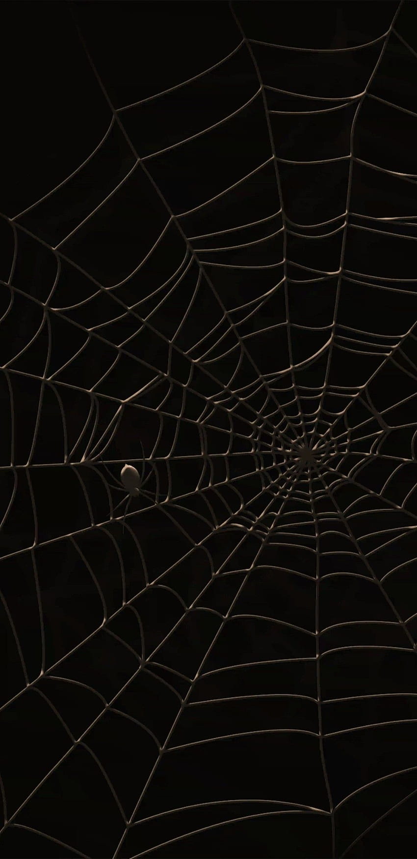Spiderman, man, spider, HD wallpaper | Peakpx