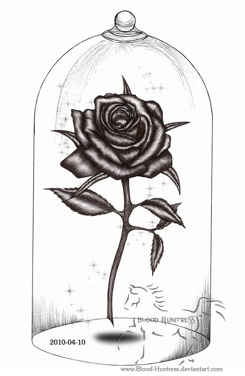 The Ultimate Collection of Rose Sketch Images - Top 999+ Illustrations ...