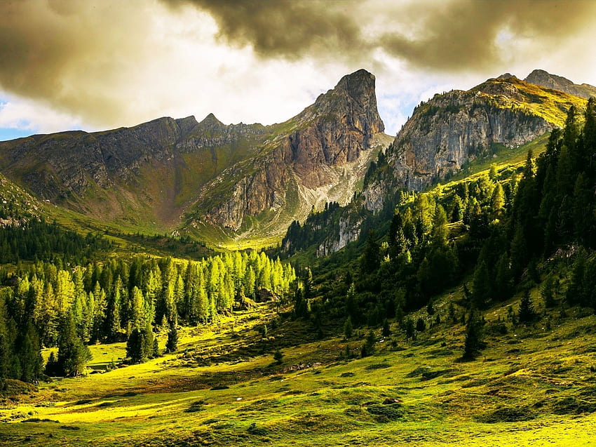 Stagione verde su montagne, Alpi, belle, Italia, erba, verde, nuvole, alberi, scogliere, montagne, foreste Sfondo HD