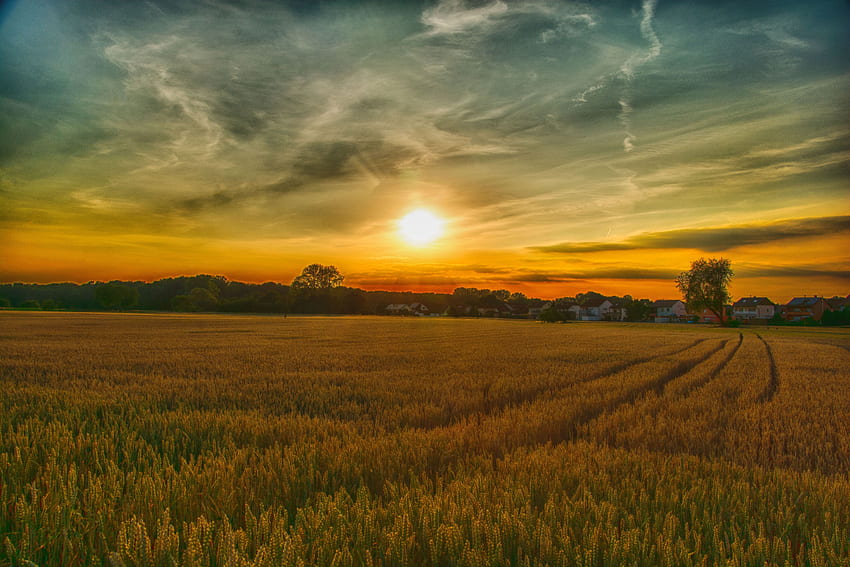 Summer, sunset, farm, landscape, nature HD wallpaper